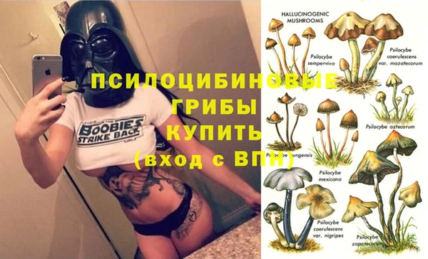 винт Абинск