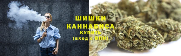 стаф Абаза