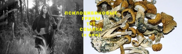 сатива Нязепетровск