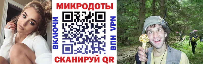 Псилоцибиновые грибы прущие грибы  Сочи 